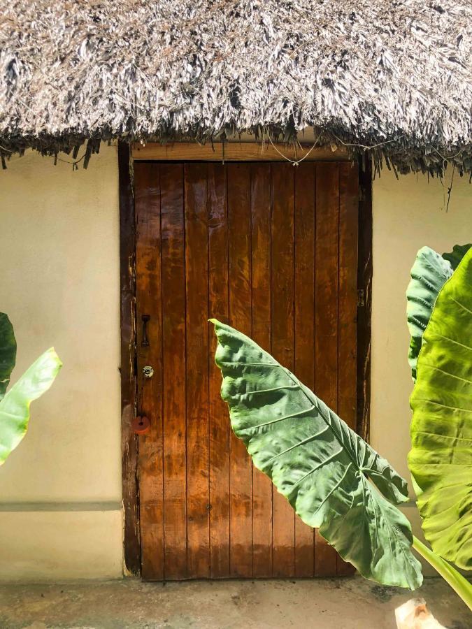 Casa Mate Beachfront Cabanas El Cuyo Exteriér fotografie